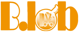 B-lab.log